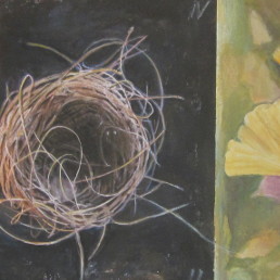 Nest and Ginko