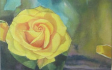 Yellow Rose